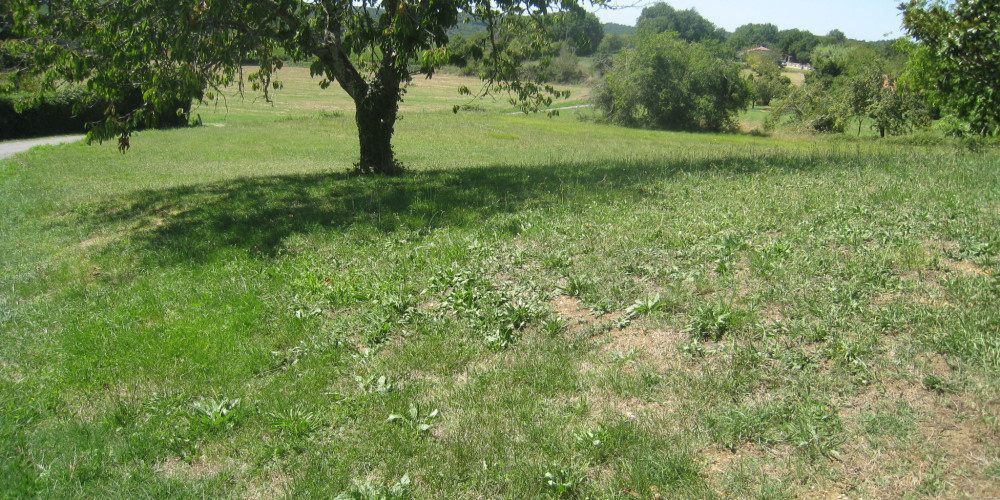 terrain à LAVARDAC (47230)