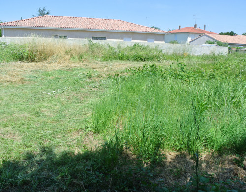 terrain  MARMANDE
