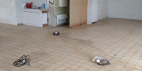 local commercial à STE BAZEILLE (47180)