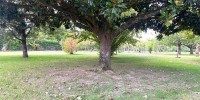 terrain à MARMANDE (47200)