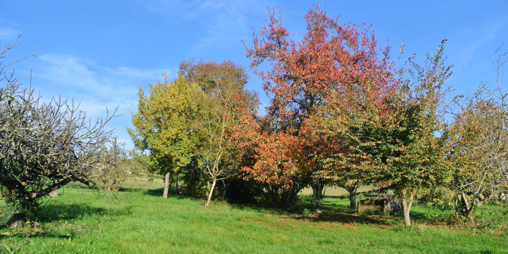 terrain à BEAUPUY (47200)