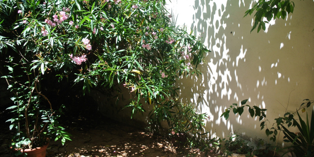 maison à MARMANDE (47200)