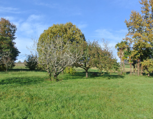terrain  BEAUPUY
