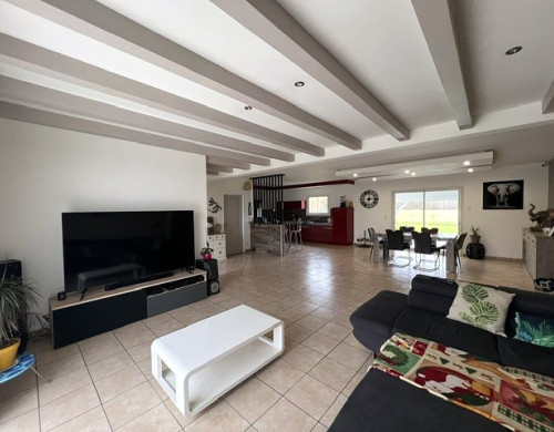maison  PENNE D AGENAIS