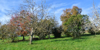 terrain à BEAUPUY (47200)