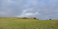 terrain à STE BAZEILLE (47180)