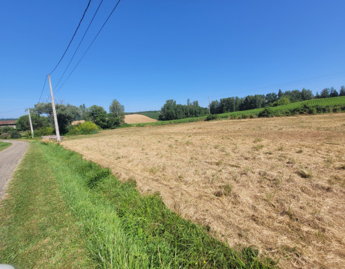 terrain  SEYCHES