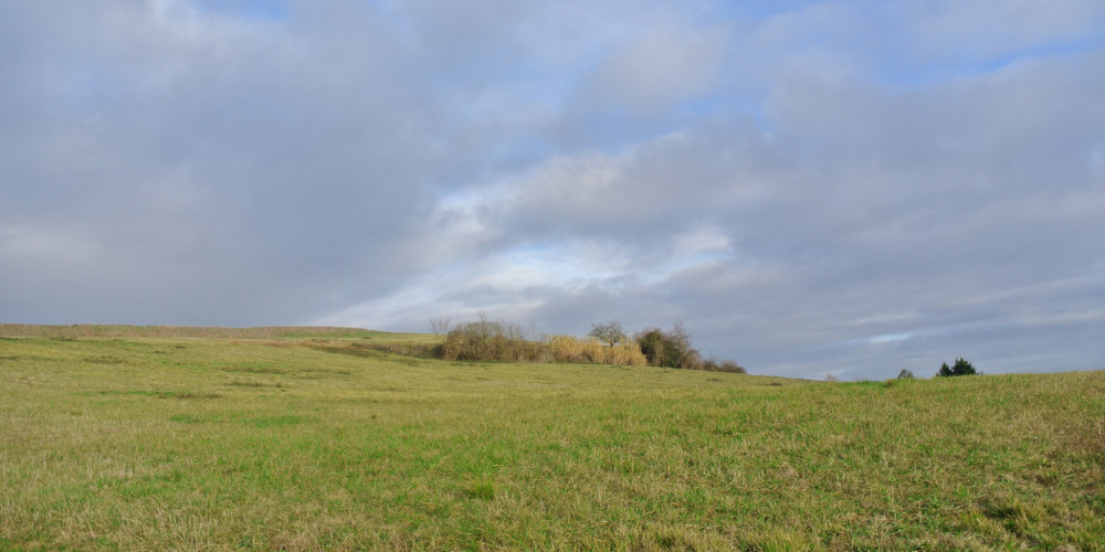 terrain à STE BAZEILLE (47180)