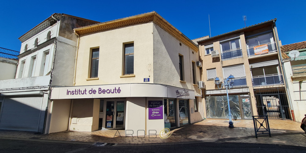immeuble à TONNEINS (47400)
