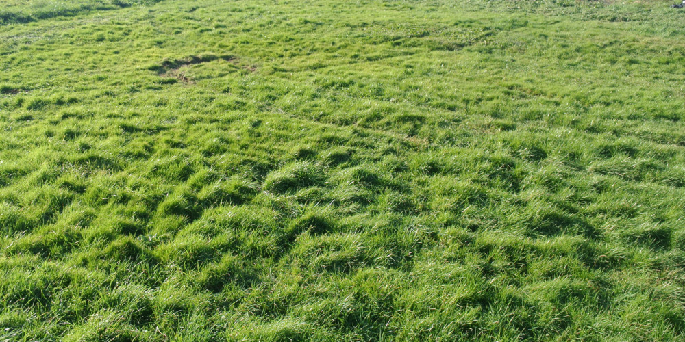 terrain à MARMANDE (47200)