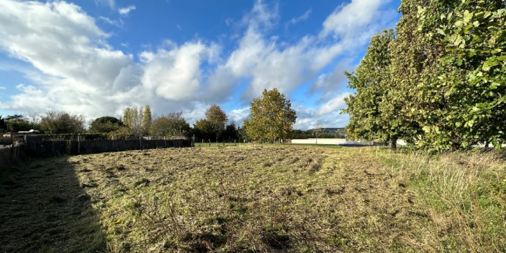 terrain à ST SYLVESTRE SUR LOT (47140)