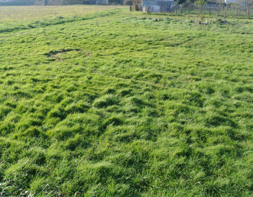 terrain  MARMANDE