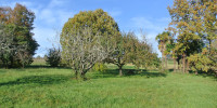terrain à BEAUPUY (47200)