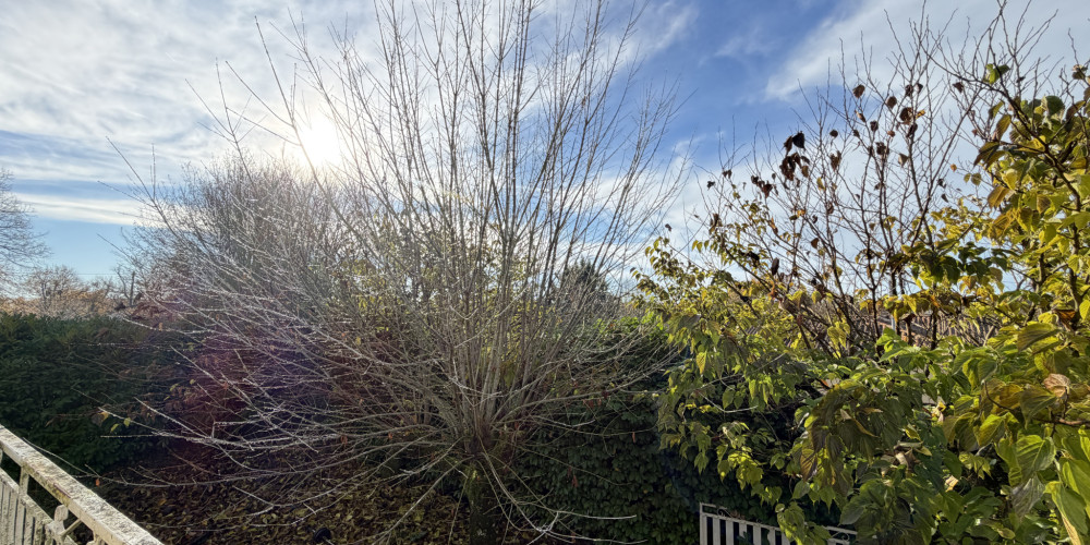 maison à LA CROIX BLANCHE (47340)
