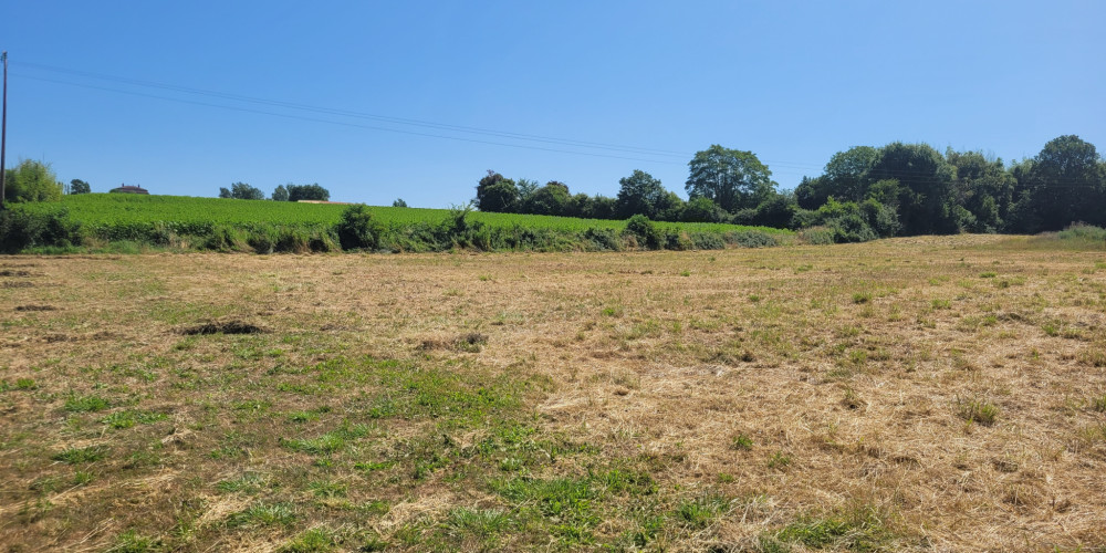 terrain à SEYCHES (47350)