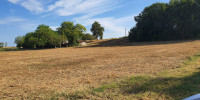 terrain à MONBALEN (47340)