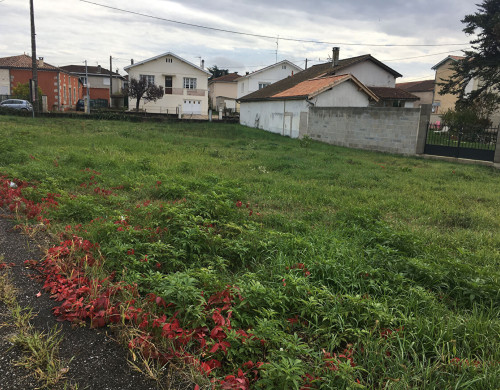 terrain  VILLENEUVE SUR LOT