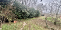 maison à ST VITE (47500)