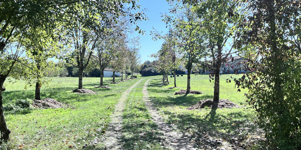 maison à MONTIGNAC TOUPINERIE (47350)