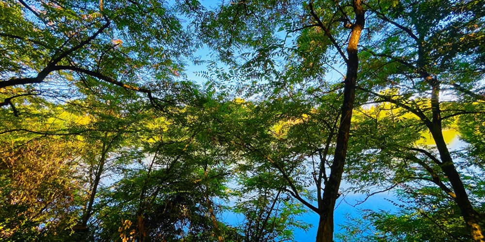 maison à PENNE D AGENAIS (47140)