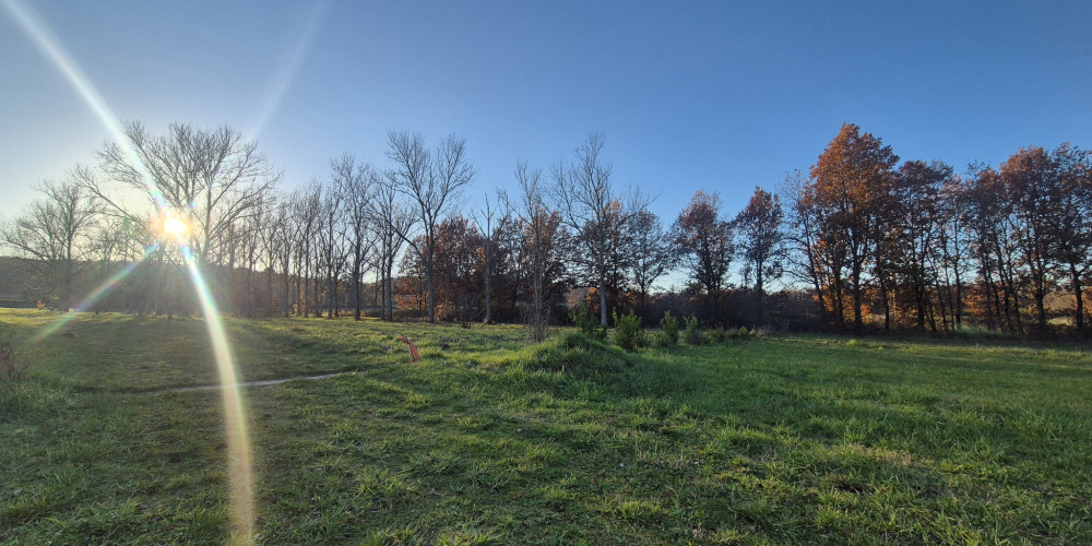 maison à LAYRAC (47390)