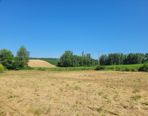 terrain  SEYCHES