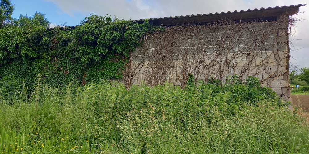 terrain à VILLEREAL (47210)