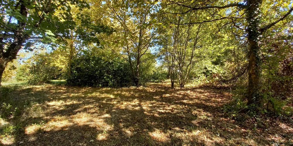 terrain à CASTILLONNES (47330)