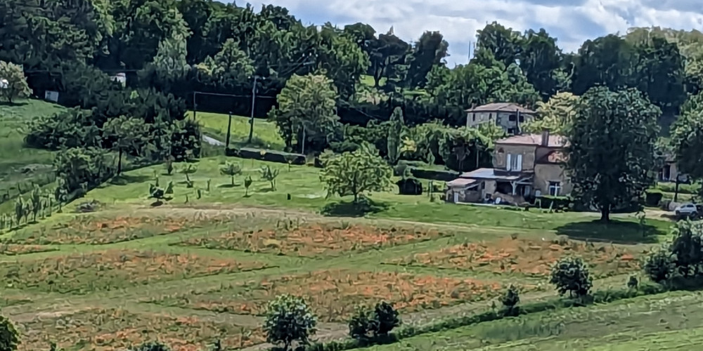 maison à PORT STE MARIE (47130)