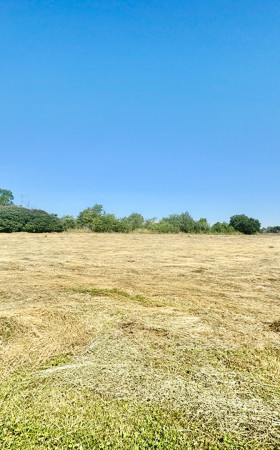 Terrain  MONFLANQUIN