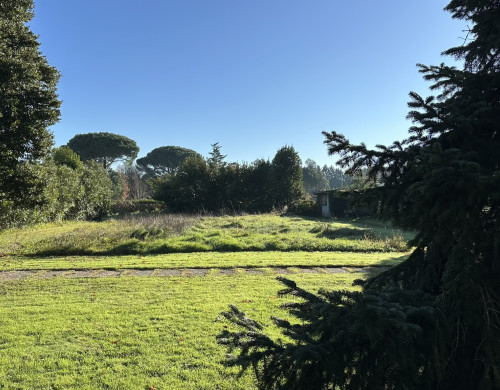 terrain  AIGUILLON