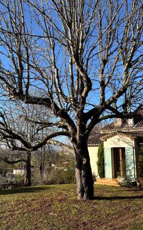 Maison  COLAYRAC ST CIRQ