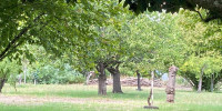 terrain à MARMANDE (47200)