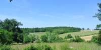terrain à CASTELNAU SUR GUPIE (47180)