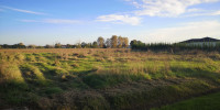terrain à AGEN (47000)