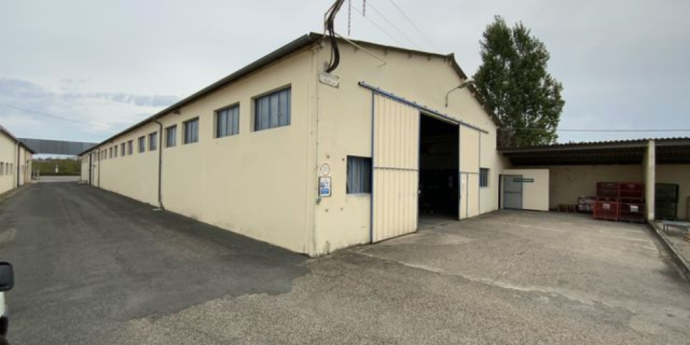 local industriel à STE BAZEILLE (47180)