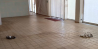 local commercial à STE BAZEILLE (47180)