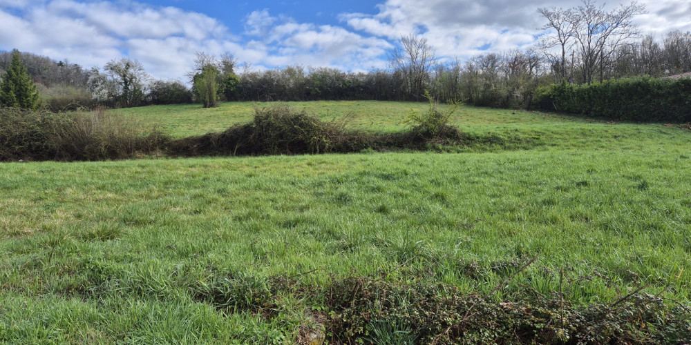 terrain à AGEN (47000)