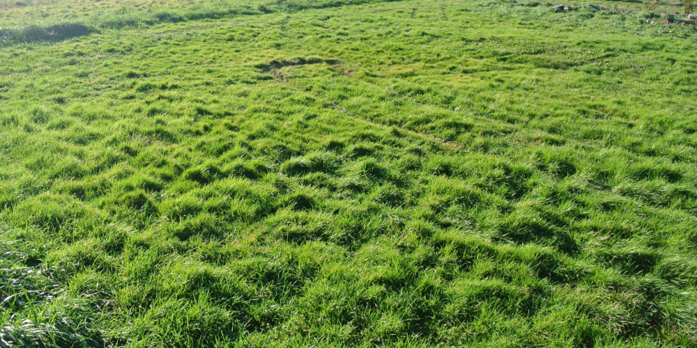 terrain à MARMANDE (47200)