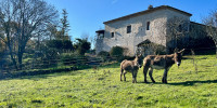 maison à TOURNON D AGENAIS (47370)