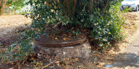 maison à MONFLANQUIN (47150)