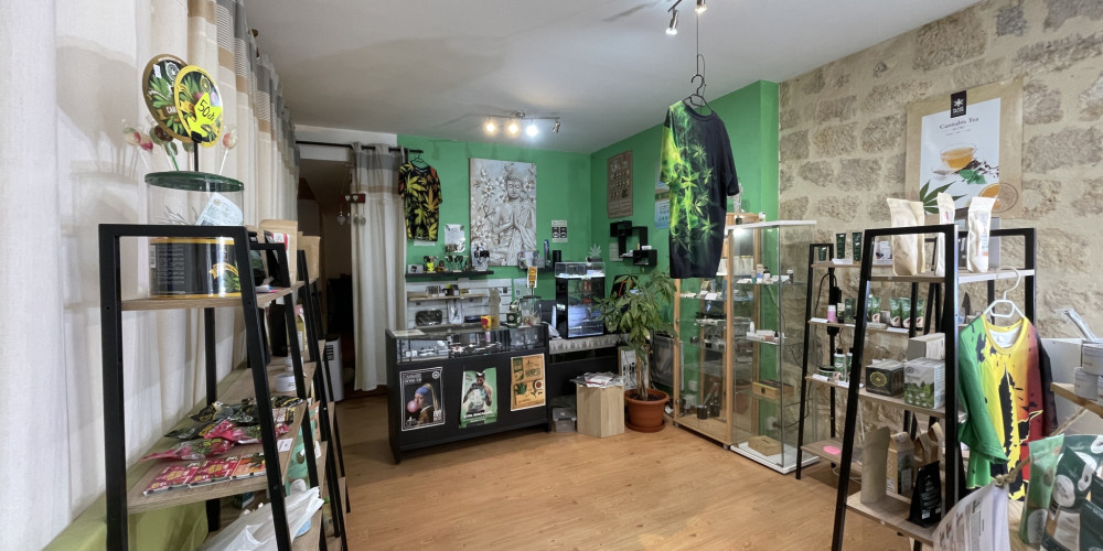 local commercial à CASTELJALOUX (47700)