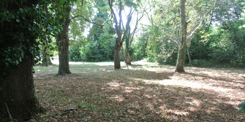 maison à MIRAMONT DE GUYENNE (47800)