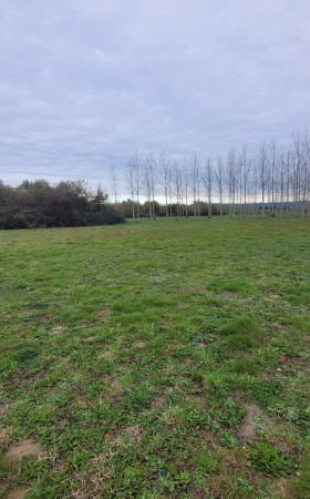 Terrain  BEAUPUY