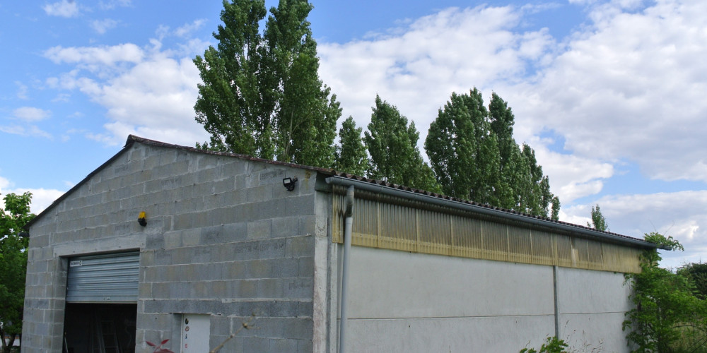 maison à MIRAMONT DE GUYENNE (47800)