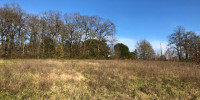 terrain à BOURLENS (47370)