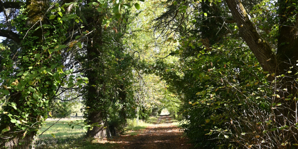 maison à MIRAMONT DE GUYENNE (47800)