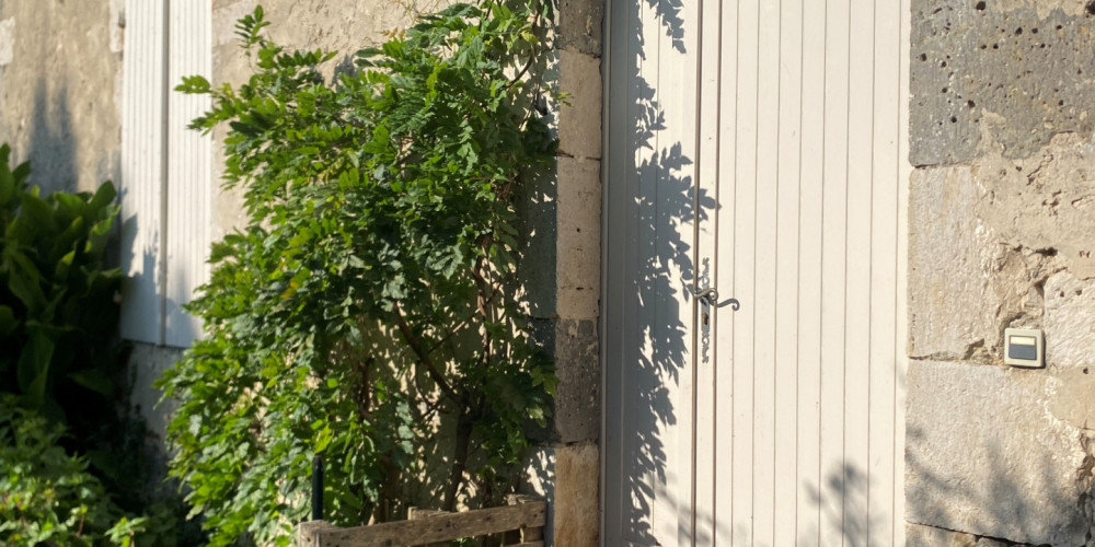 maison à PORT STE MARIE (47130)