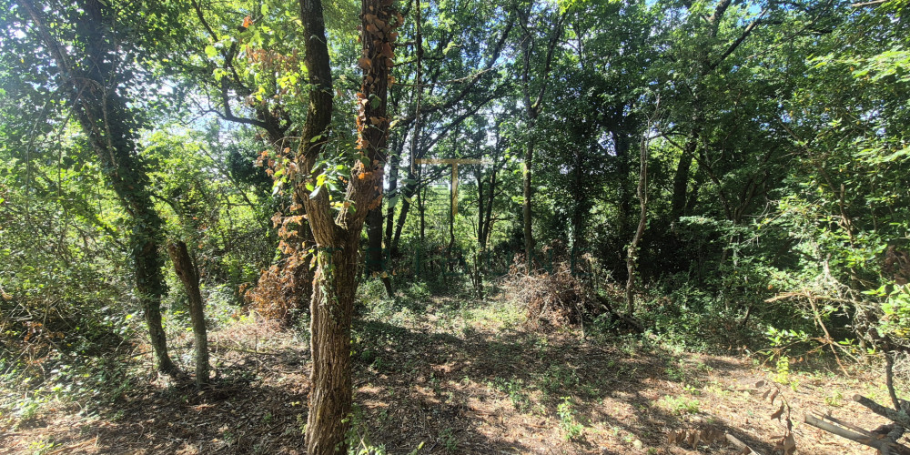 terrain à LAYRAC (47390)