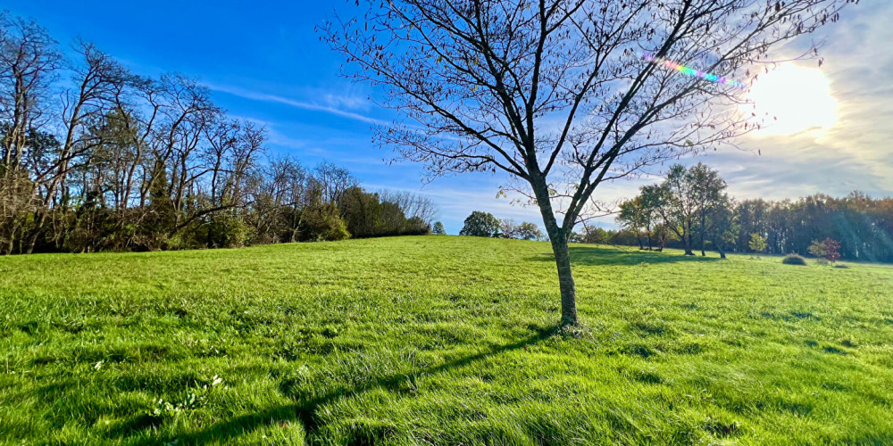 maison à VILLENEUVE SUR LOT (47300)